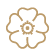 Le Coussin énergetique